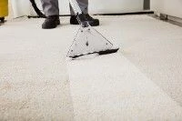 Clean carpet after professional service